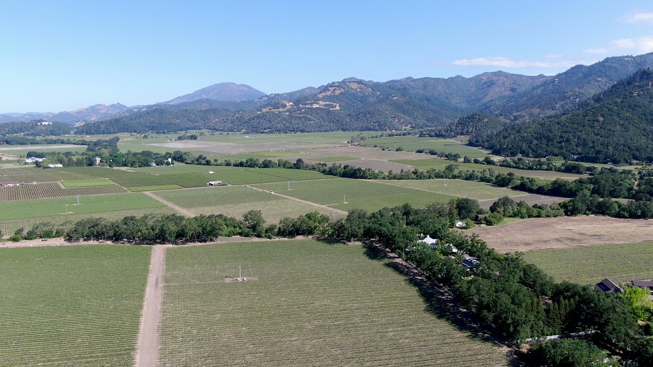 Aerial view of Napa Valley, California in 4K  | Free Stock Video