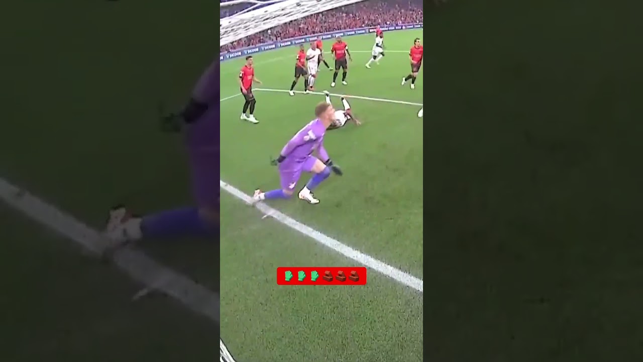 LÉO LINCK = DEFESAS ABSURDAS! TODO JOGO DO ATHLETICO, UM VÍDEO DELE! O CARA TÁ PEGANDO DEMAIS!