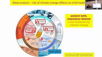 Professor Peter Le Souef on Child Mortality, the Climate Crisis and Population Dynamics