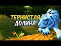 КАК НЕ УМЕРЕТЬ В ТЕРНИСТОЙ ДОЛИНЕ WoW Classic