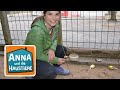 Kanarienvogel und Zebrafink | Information für Kinder| Anna und die Haustiere