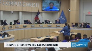 'We are in panic mode': Corpus Christi councilman addresses water crisis Wealth