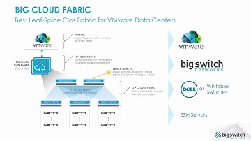 Big Cloud Fabric Advantage for VMware vSAN