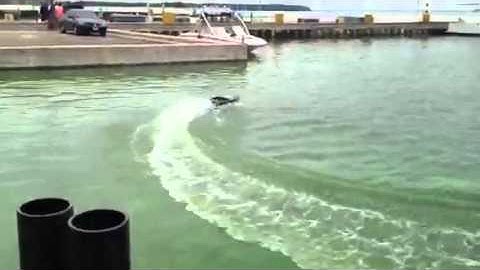 Crackerbox the terror of the seas