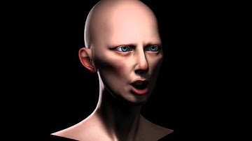 FACE_Variation_System.mov