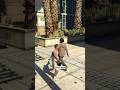 Franklin Joins the trend | Gta V | Grand Theft Auto 5 #gtav #gaming #gta6 #cbum #bodybuilding