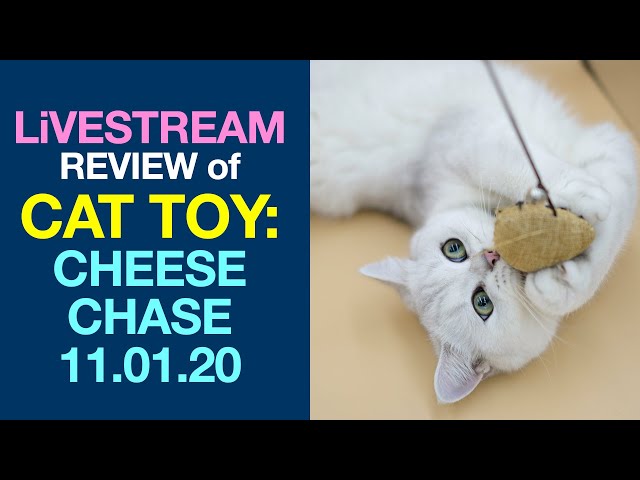 Livestream Review Of Cat Toy Cheese