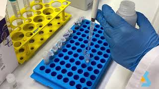 02 - DNA Isolation from bacterial culture