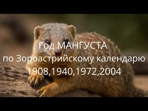 Год МАНГУСТА  по Зороастрийскому календарю