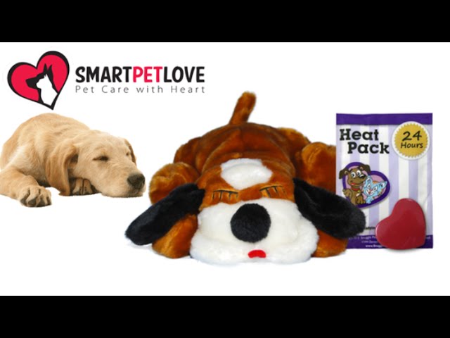smart love snuggle puppy