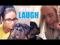 NEW Rottweiler Funny Videos (Compilation) | Featuring Cute Rottweiler Puppies