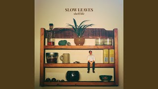 Video thumbnail of "Slow Leaves - Time Was on Your Side"