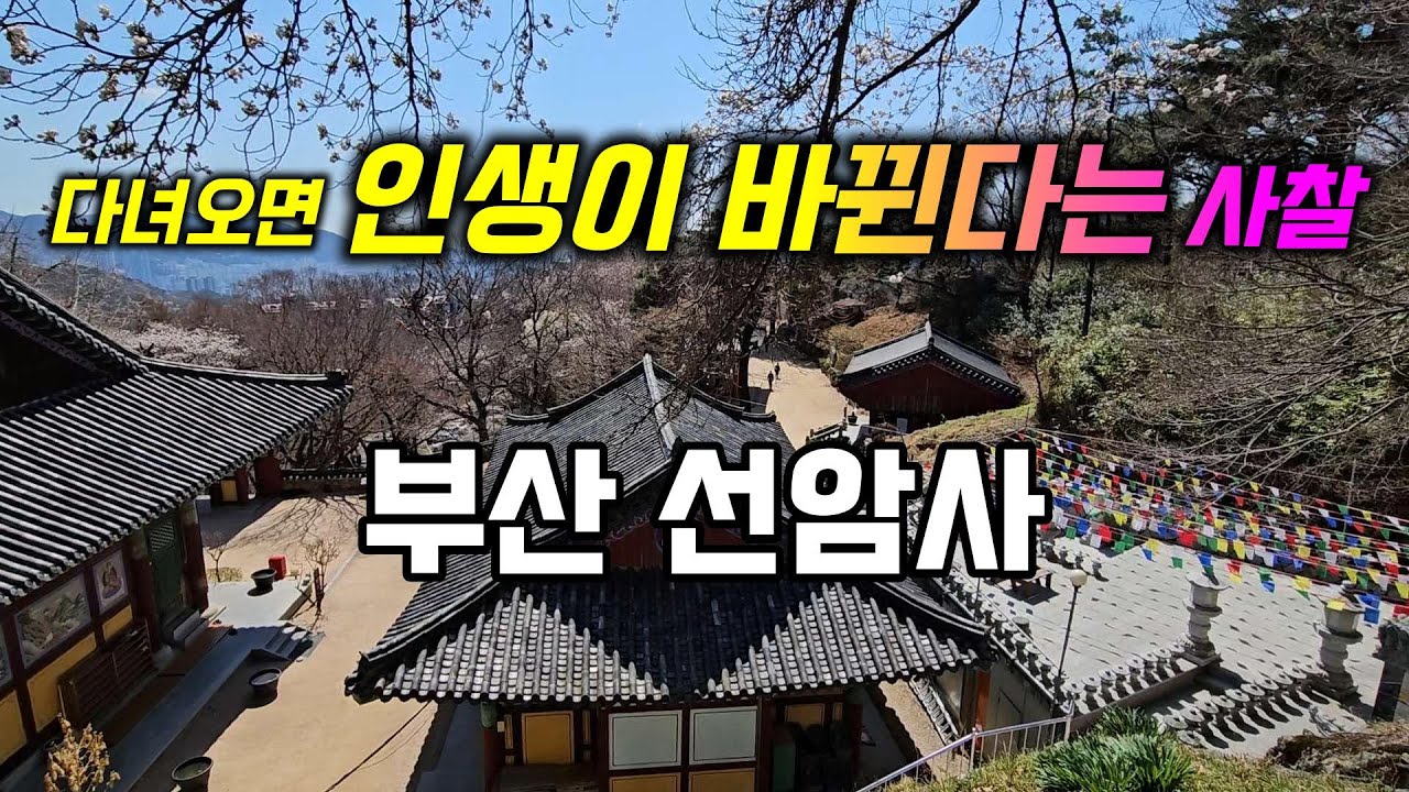 인생이 바뀌고 비빌언덕이 되어줄 부산 선암사 사찰여행 백양산 애진봉 등산코스 부처님오신날  korea temple