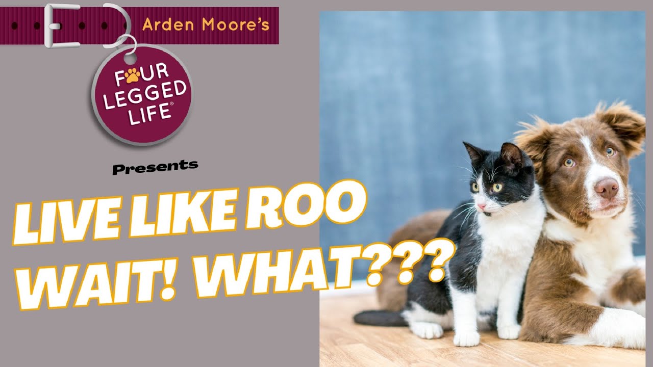 Live Like Roo Live Like Roo! Wait What? - YouTube