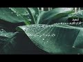 الآية رقم 114 من سورة المائدة مكررة 30 مرة