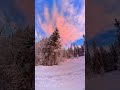 Snowy Forest Road Under a Colorful Winter Sky | Norway #norway #4knature #relax #fyp #ambient