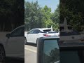 Bird on I-10 in Houston!