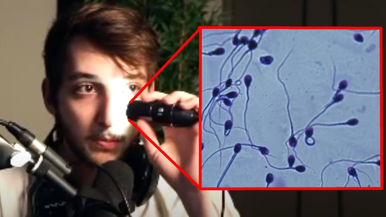 vendo coisas no microscópio