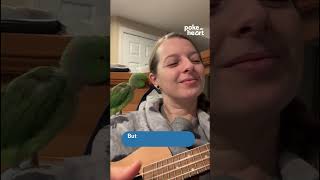 #Musical duet in full swing with ukulele player and her feathered #friend!