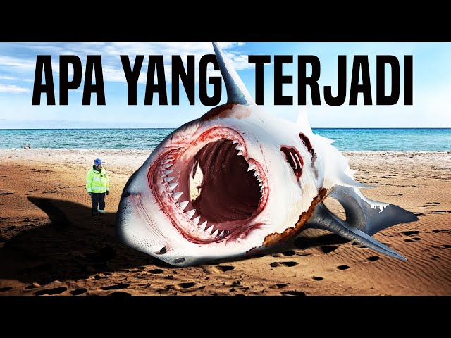 Ini Dia Pembunuh Megalodon Dan Titanoboa Yang Sebenarnya class=