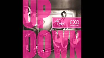 EXID   UP & DOWN [AUDIO]