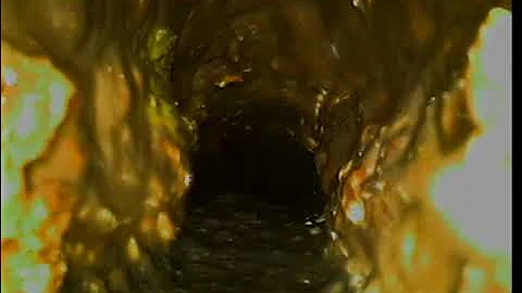 vidrpt-2025-12-03-09-05-12