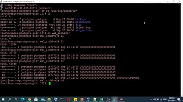 PostgreSQL Incremental Backup and Point In Time Recovery using Archive Log