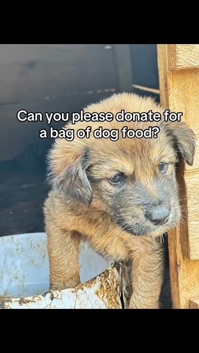 Please kindly tap the link in bio and donate something to help these ...