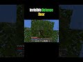 Invisible Defence Door💀#minecraft #minecraftpe #minecraftmemes #shorts #fyp #gaming #viral