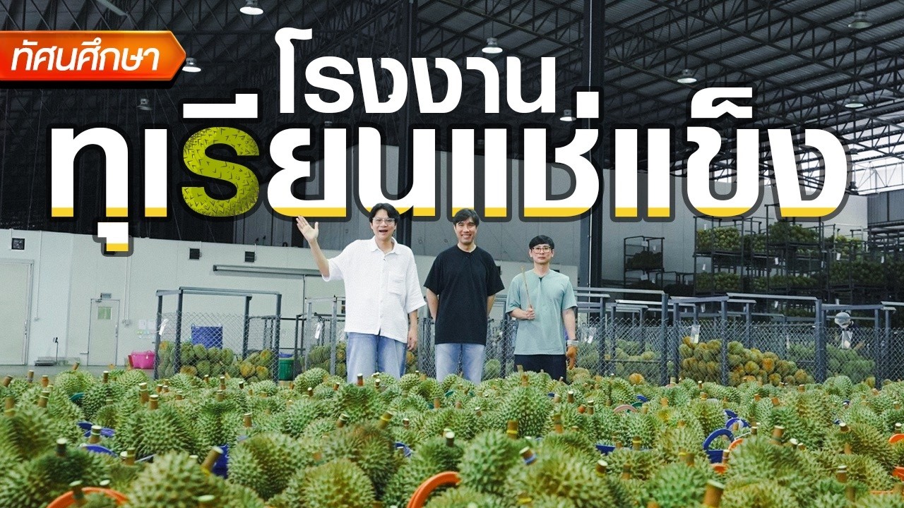 ทุเรียนแช่แข็งทำยังไง? - ทัศนศึกษา [TH/ENG SUB]