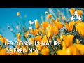 Les conseils nature de fred n6  autour du lac