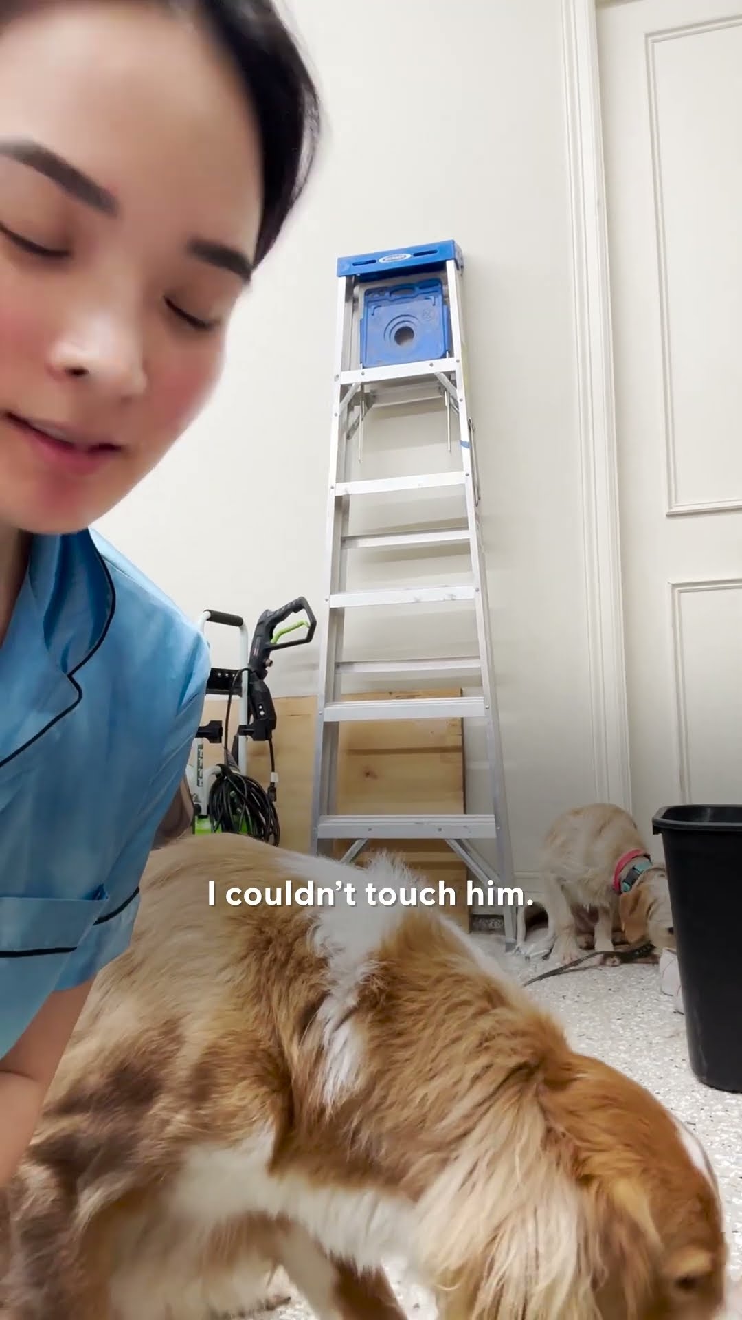 Dog Who'd Never Been Touched By Humans Starts To Trust Foster Mom | The Dodo