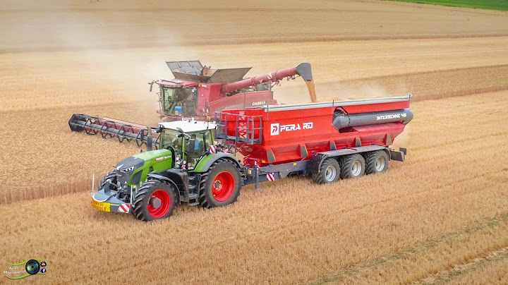 Moisson du blé 2025 FENDT 942 Perard 3 essieux