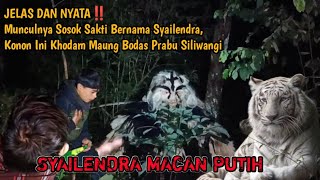 TERNYATA SOSOK HARIMAU PUTIH INI ADALAH KHODAM DARI MAUNG BODAS PRABU SILIWANGI, BENARKAH❓