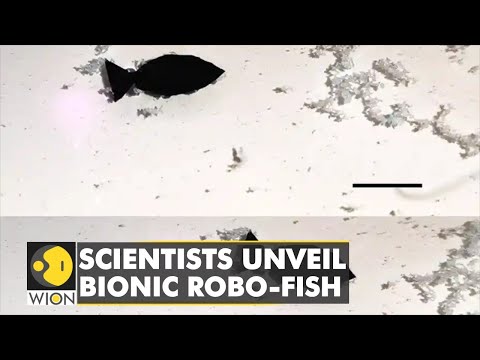 Robots to solve ocean's pollution menace: 15mm long robo-fish to hunt for plastic | English News