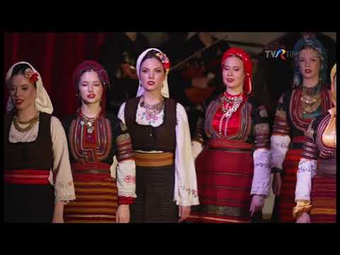 „Tradiția care unește”, concert organizat de Uniunea Sârbilor din Sânicolau Mare (IV) #Sârbă