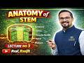 Anatomy of Dicot Stem &amp; Monocot Stem | Stem Anatomy in Marathi | Lecture 3
