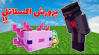 ماینکرفت اما پرورش اکسلاتل ایتم اوپی میده😑