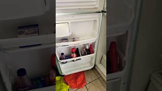 I found the problem 😆 #shortvideo #shorts #eviction #california #inspiration #insects #shortfeed