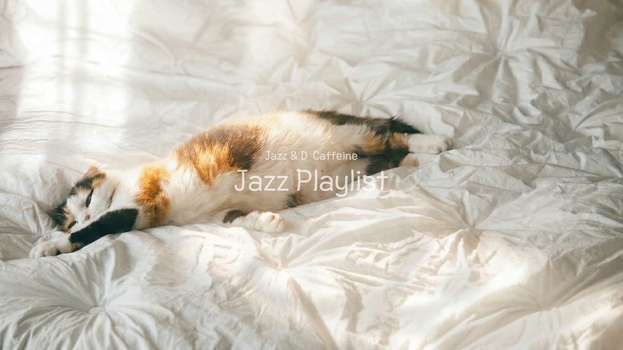 【𝐩𝐥𝐚𝐲𝐥𝐢𝐬𝐭】노곤한 햇살, 푹신푹신 이불같이 Cozy한 재즈💚