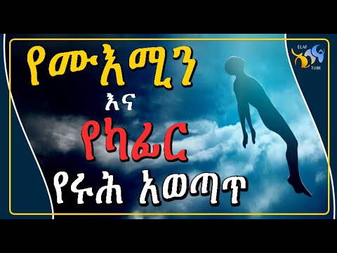 ቪዲዮ: የካፊር ዥረት የት ነው?