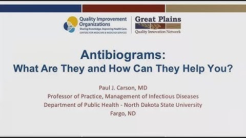 Antibiograms: What Are They and How Can They Help You?