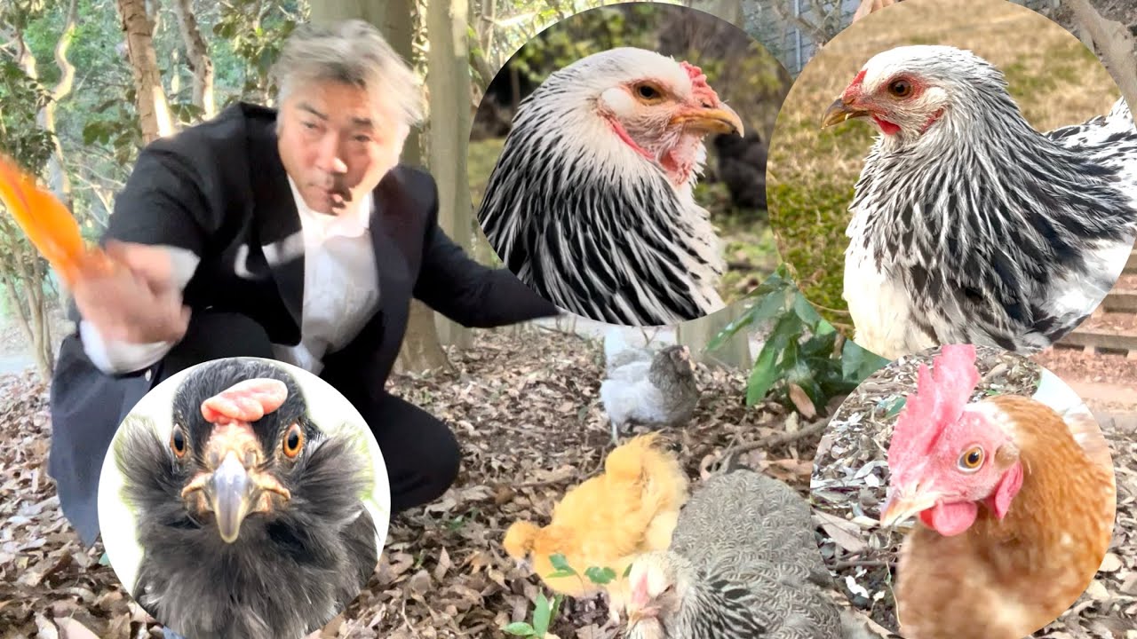 We went to Centipede and Beethoven Park, which was loved by