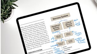 GoodNotes 5 as a PDF reader: EVERYTHING  you need to know screenshot 2