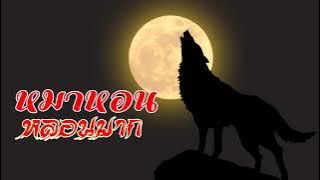 หมาหอน หลอนมาก The dog is very scared.