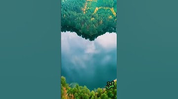 القرآن الكريم وكانك تسمعه لأول مرة 🌹❤️💓♥️