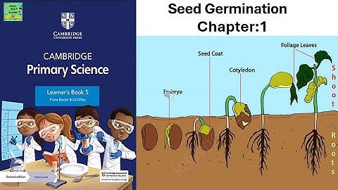 Cambridge Primary Science Stage 5|Learners book| Seed germination| Unit:1.4|