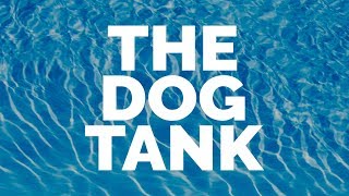 The Dog Tank