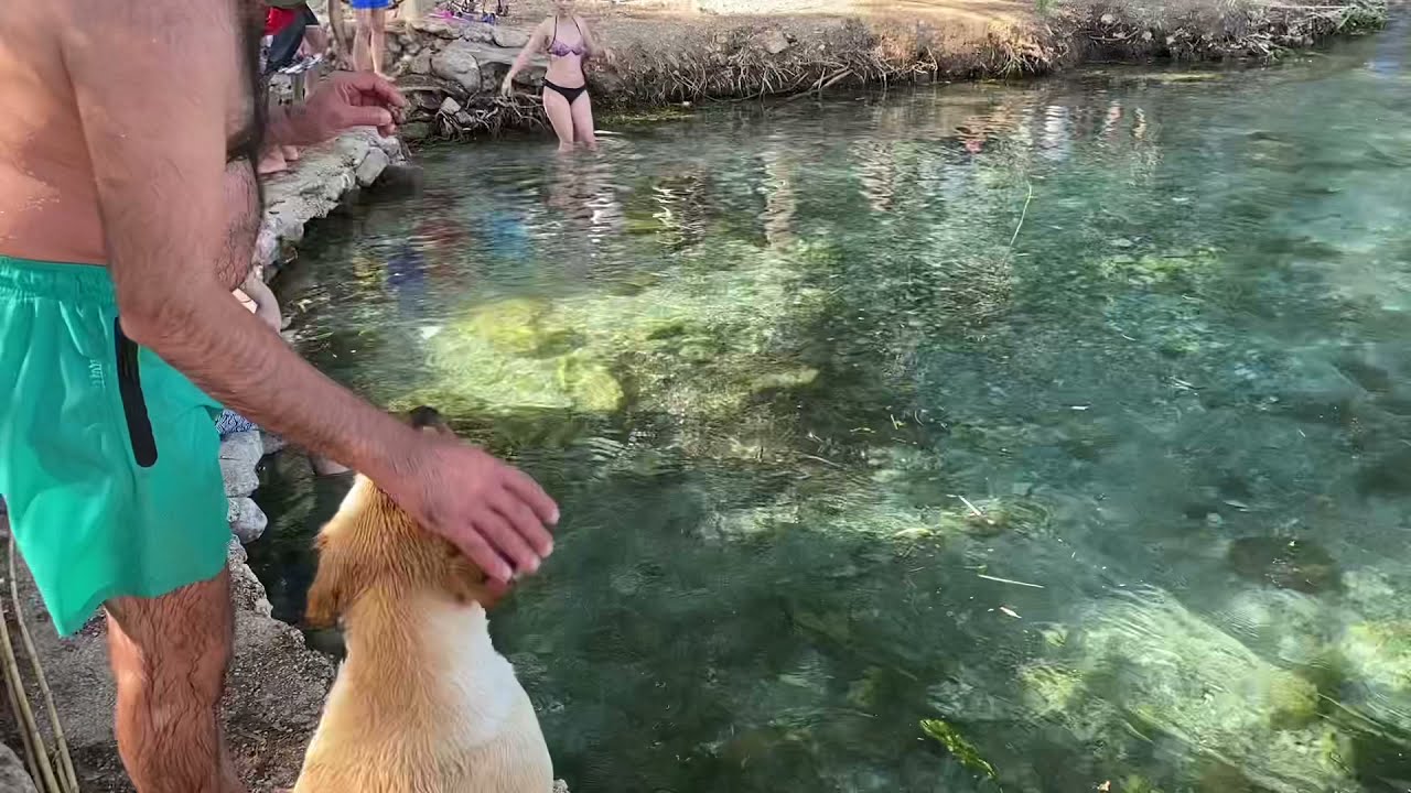 🇹🇷 AZMAK İS A Wonder of Nature Refreshing with its Cold Waters🌴