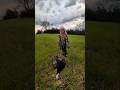 Turkey Hunting: Dad he's too heavy!
